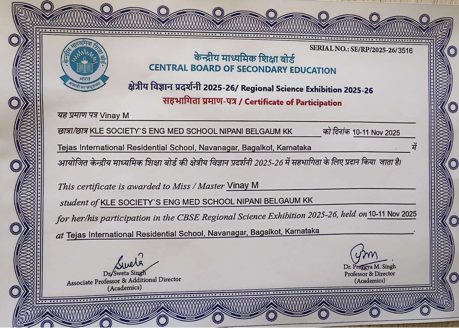 Celebrating Curiosity and Innovation