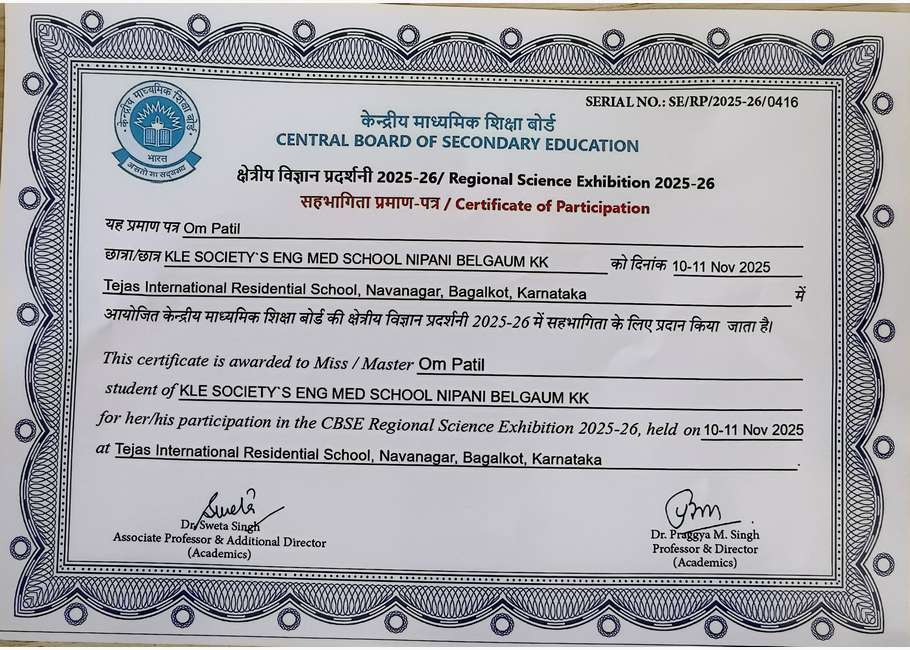 Celebrating Curiosity and Innovation