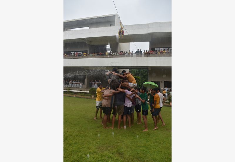 Dahi Handi Celebration