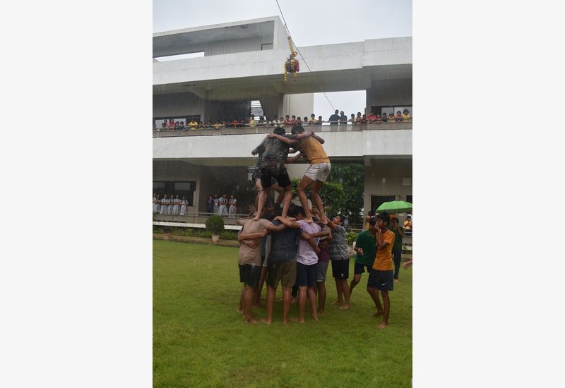 Dahi Handi Celebration