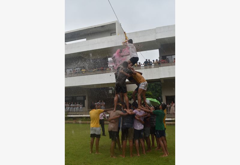 Dahi Handi Celebration