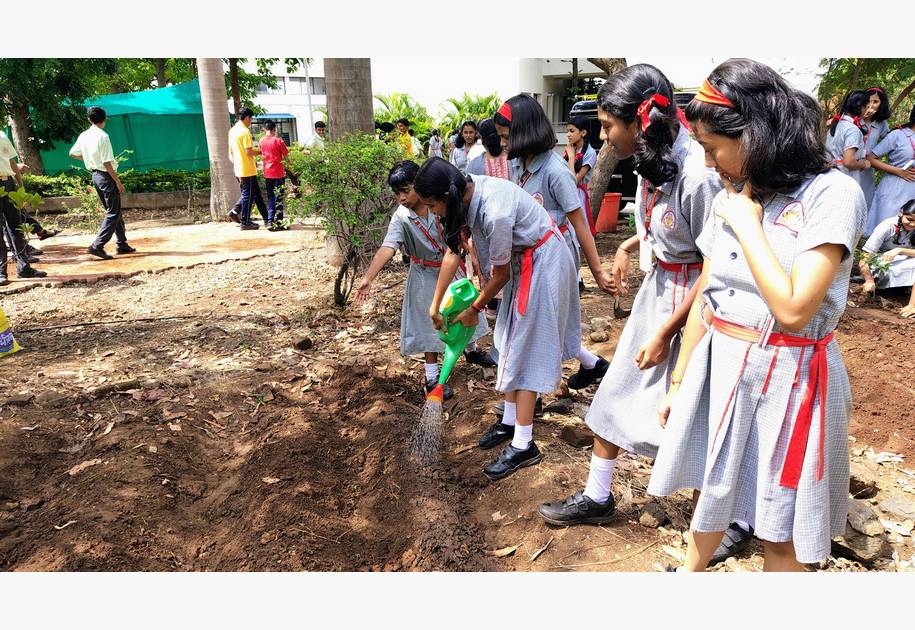 Environment Day