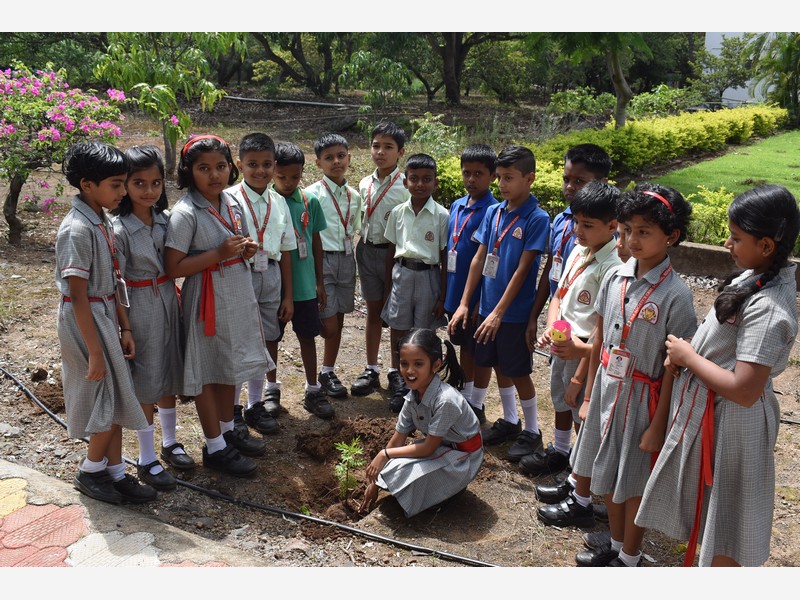 Environment Day