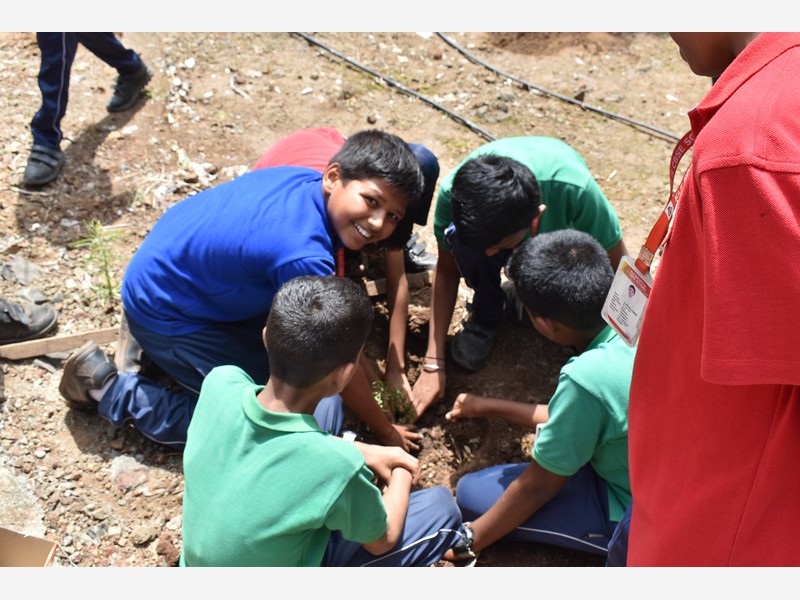 Environment Day