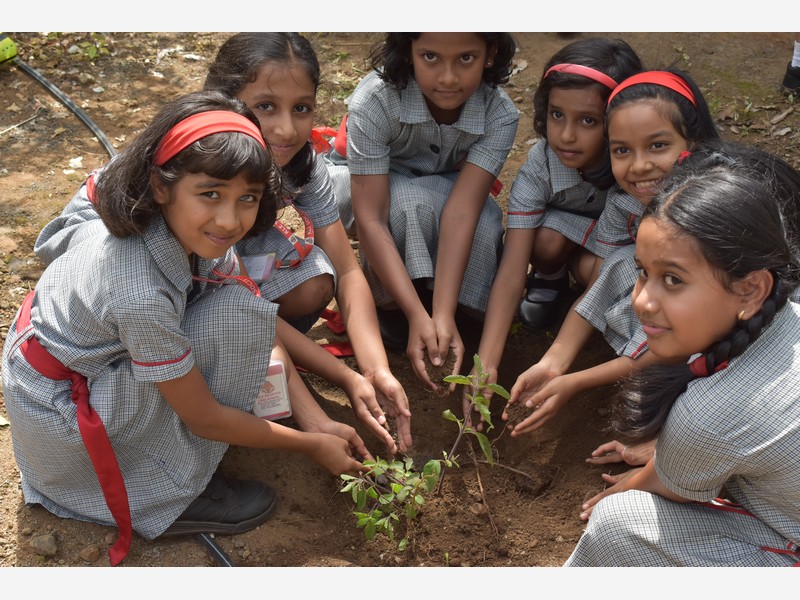 Environment Day