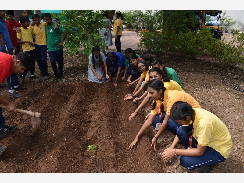 Environment Day