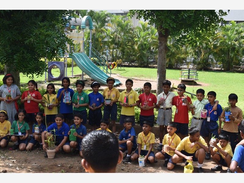 Environment Day