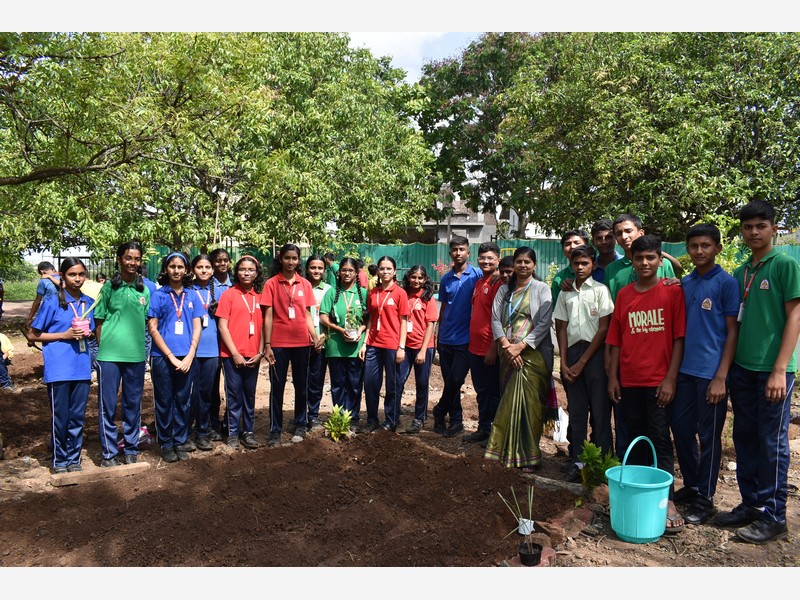 Environment Day