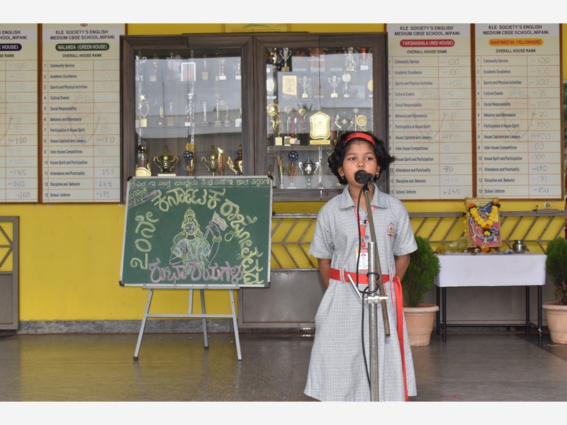 Karnataka Rajyotsava